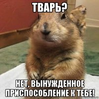 тварь? нет, вынужденное приспособление к тебе!