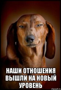  наши отношения вышли на новый уровень