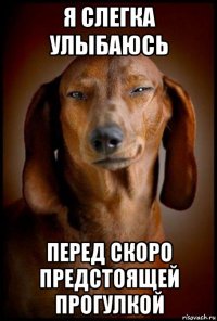 я слегка улыбаюсь перед скоро предстоящей прогулкой