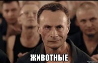  животные