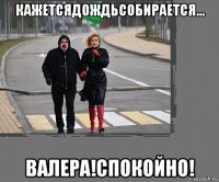 кажетсядождьсобирается... валера!спокойно!