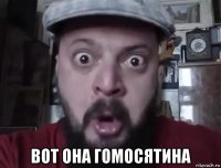  вот она гомосятина