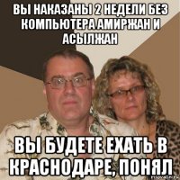 вы наказаны 2 недели без компьютера амиржан и асылжан вы будете ехать в краснодаре, понял