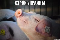 хэрой украины 