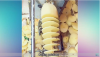 Создать мем Cutting potatoes
