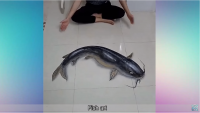 Создать мем Fish art