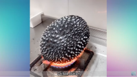 Создать мем Grilled durian