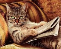 Создать мем Котвопрос