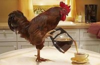 Создать мем Петух чай