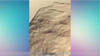 Создать мем Quicksand