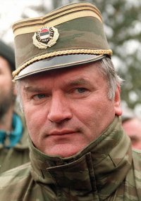 Создать мем Радко Младич