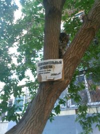 Создать мем У нас перед окном во дворе