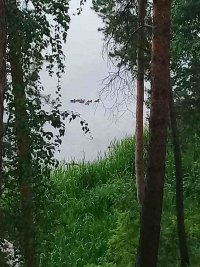 Создать мем В июне на реке Туре