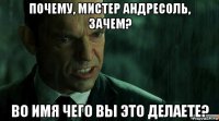 почему, мистер андресоль, зачем? во имя чего вы это делаете?