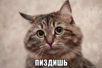  пиздишь