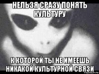 нельзя сразу понять культуру к которой ты не имеешь никакой культурной связи