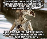 наташа, зима скоро. котов съели, все съели, как зимовать то будем? покушать нет, одежки нет, мужичка приличного нет, зарплаты считай тоже... ты точно много картошки посадила? на кабачках продержимся? собирайся, поехали на дачу еще сажать!