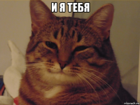 и я тебя 