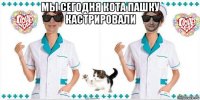 мы сегодня кота пашку кастрировали 