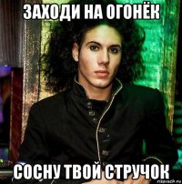 заходи на огонёк сосну твой стручок