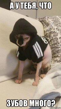 а у тебя, что зубов много?