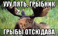 ууу лять, грыбник грыбы отсюдава