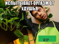 испытывает оргазм от удушья 