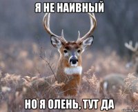 я не наивный но я олень, тут да