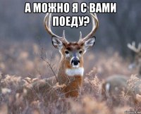 а можно я с вами поеду? 