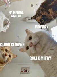 Margarita, wake up Mayday Cloud is down Call Dmitry