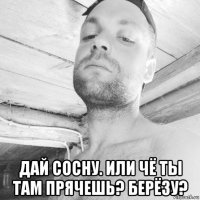 дай сосну. или чё ты там прячешь? берёзу?