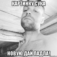 картинку сука новую дай падла!