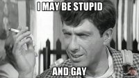 i may be stupid and gay