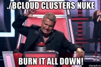 ./bcloud clusters nuke burn it all down!