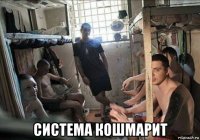  система кошмарит