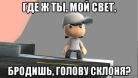 где ж ты, мой свет, бродишь, голову склоня?