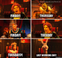 Firday! Thursday Firday! Tuesday Tuesday?! Last working day!