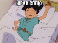 жру и сплю 