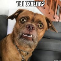 ты охуела? 