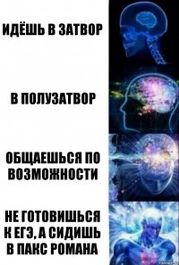 Идёшь в затвор В полузатвор Общаешься по возможности Не готовишься к ЕГЭ, а сидишь в Пакс Романа