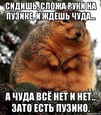 сидишь, сложа руки на пузике, и ждёшь чуда... а чуда всё нет и нет.. зато есть пузико.