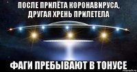 после прилёта коронавируса, другая хрень прилетела фаги пребывают в тонусе