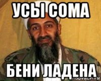 усы сома бени ладена
