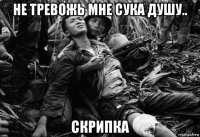 не тревожь мне сука душу.. скрипка