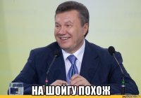  на шойгу похож