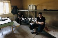 Создать мем Animals