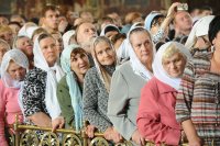 Создать мем Фанатички злые