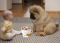 Создать мем Кофе будешь