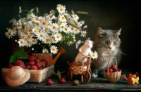 Создать мем Кот и мышь-друзья