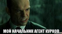  мой начальник агент курков